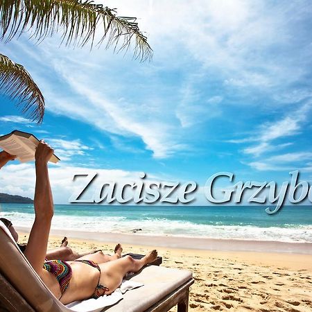 Zacisze Grzybowo Lägenhet Grzybowo  Exteriör bild